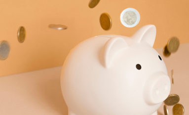 WOW, nieuwe subsidie: Werkgeverskosten Opleiden Wijkverpleging