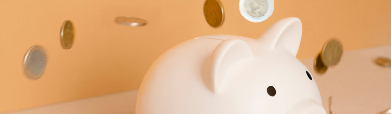 WOW, nieuwe subsidie: Werkgeverskosten Opleiden Wijkverpleging